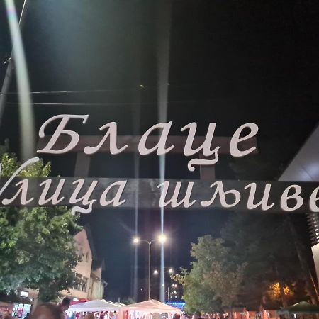 Ferienwohnung Domacinstvo Trifunovic Pretresnja Exterior foto
