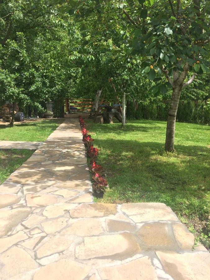 Ferienwohnung Domacinstvo Trifunovic Pretresnja Exterior foto