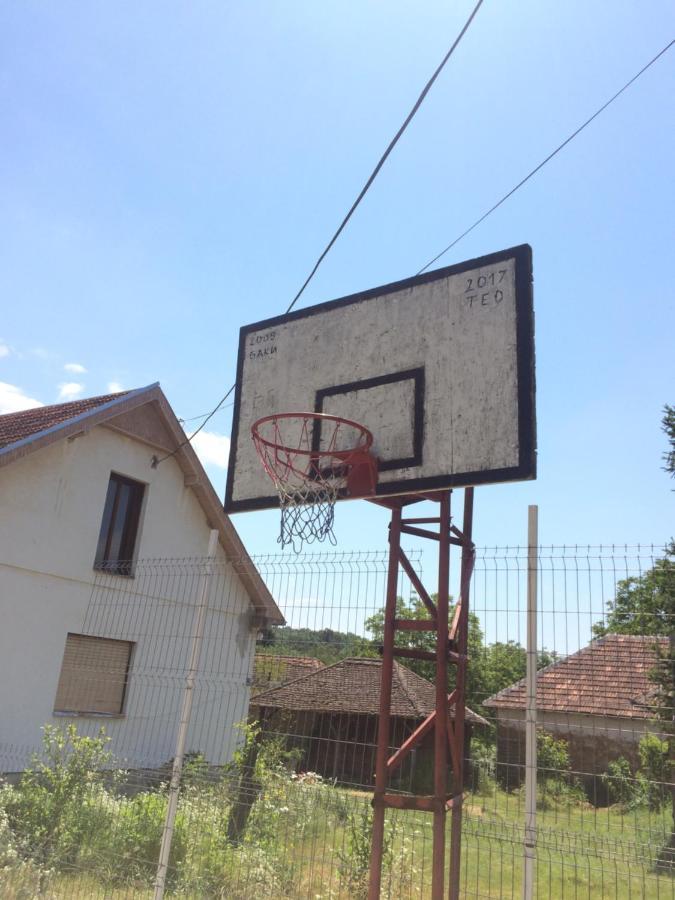 Ferienwohnung Domacinstvo Trifunovic Pretresnja Exterior foto