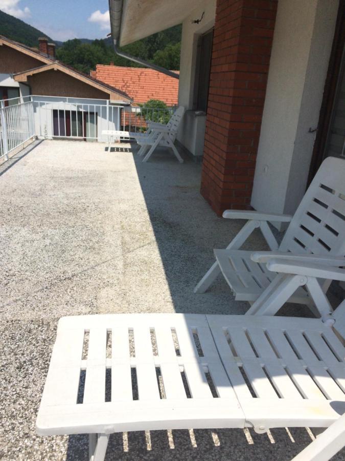 Ferienwohnung Domacinstvo Trifunovic Pretresnja Exterior foto
