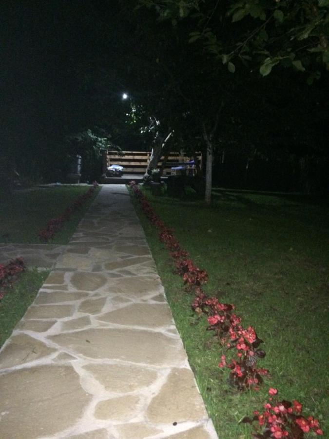 Ferienwohnung Domacinstvo Trifunovic Pretresnja Exterior foto