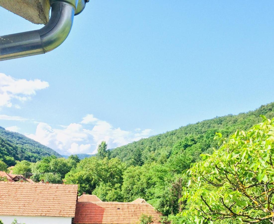 Ferienwohnung Domacinstvo Trifunovic Pretresnja Exterior foto