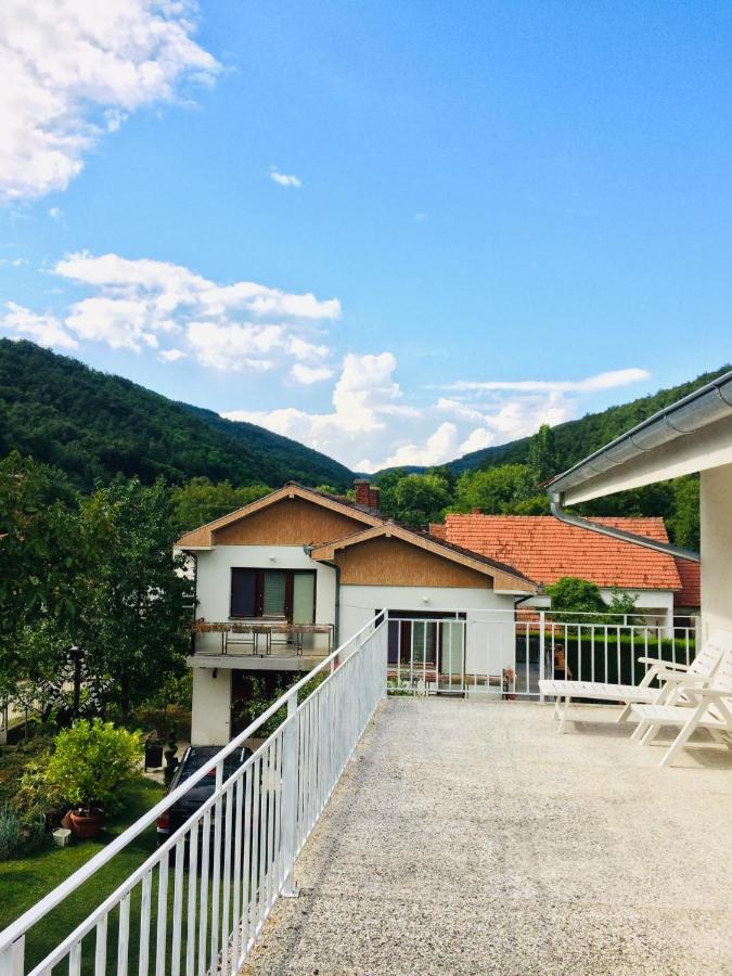 Ferienwohnung Domacinstvo Trifunovic Pretresnja Exterior foto
