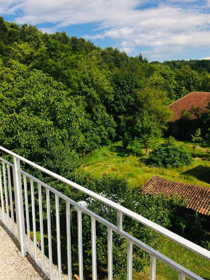 Ferienwohnung Domacinstvo Trifunovic Pretresnja Exterior foto