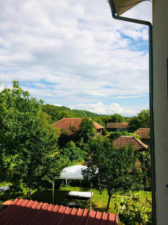 Ferienwohnung Domacinstvo Trifunovic Pretresnja Exterior foto