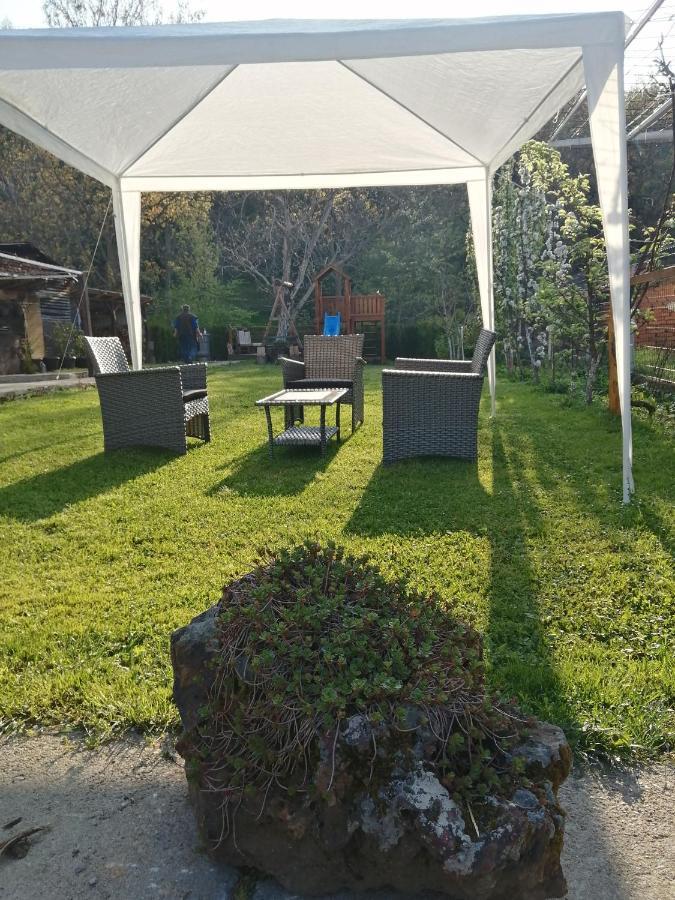 Ferienwohnung Domacinstvo Trifunovic Pretresnja Exterior foto