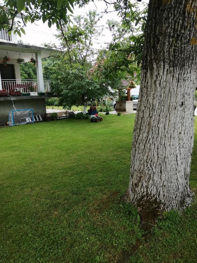 Ferienwohnung Domacinstvo Trifunovic Pretresnja Exterior foto