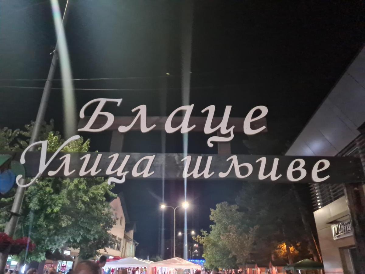 Ferienwohnung Domacinstvo Trifunovic Pretresnja Exterior foto